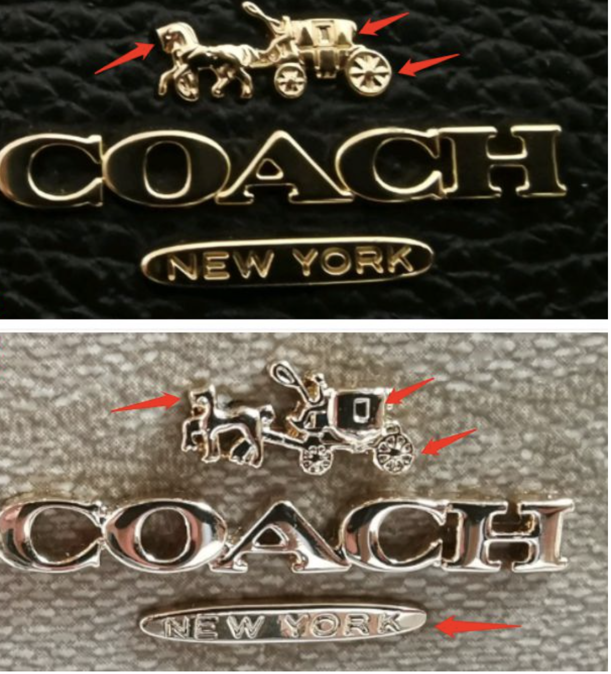 cach-check-tui-coach-auth